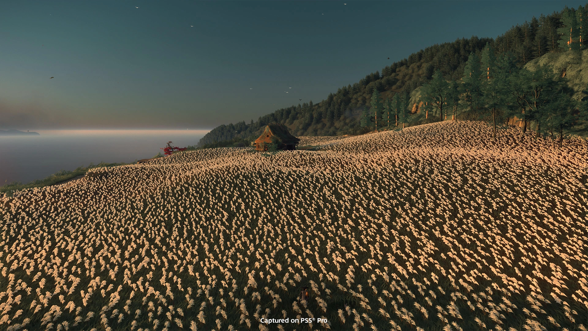 Scenic landscape of Ghost of Yōtei