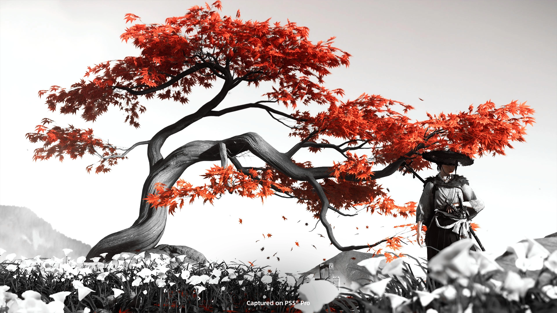 Stunning scene from Ghost of Yōtei showing a character under a red maple tree, capturing Ezo