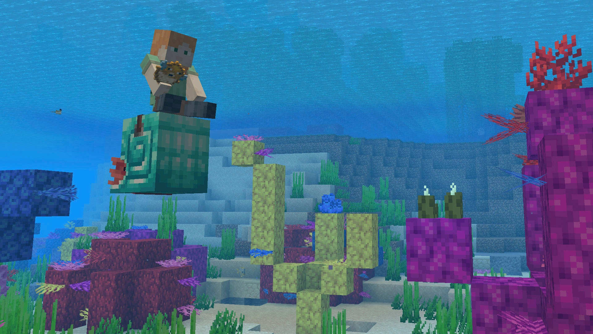 Player riding a nautilus mount underwater amidst vibrant corals in Minecraft
